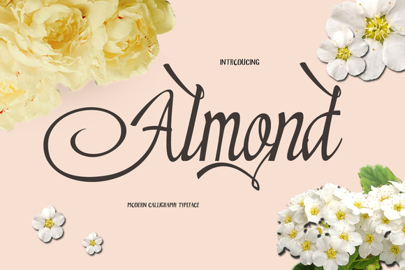 Almond Typeface: A Marketer’s Review for Campaign Design