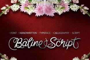 Baline Script: A Versatile Typeface for Makers