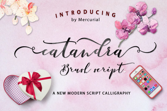 Catandra Script: A Modern Typeface for Digital Brands