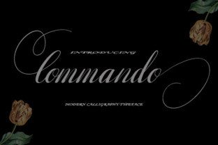 Commando Font: Elevate Your Web Design