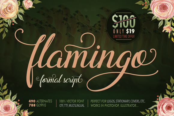 Flamingo Typeface: A Designer’s Review