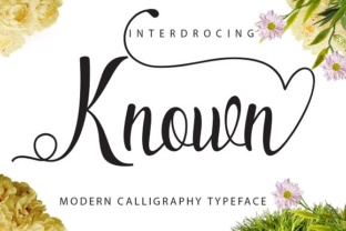 Known: The Handwritten Font for Campaign Impact