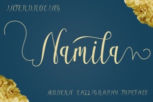 Namila: A Handwritten Script Font for Brand Identity