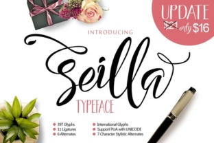 Seilla Script: A Modern Typeface for Web Design