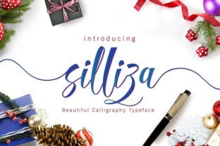 Silliza Script: A Modern Typeface for Web Design