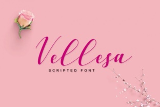 Vellesa Script: A Designer’s Review of This Elegant Typeface