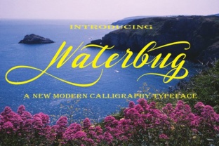 Waterbug: A Real-World Script Amp Review